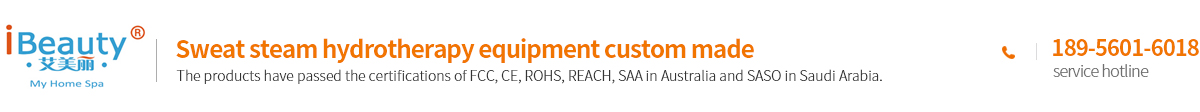 HEFEI WELLMAX INTERNATIONAL CO., LTD